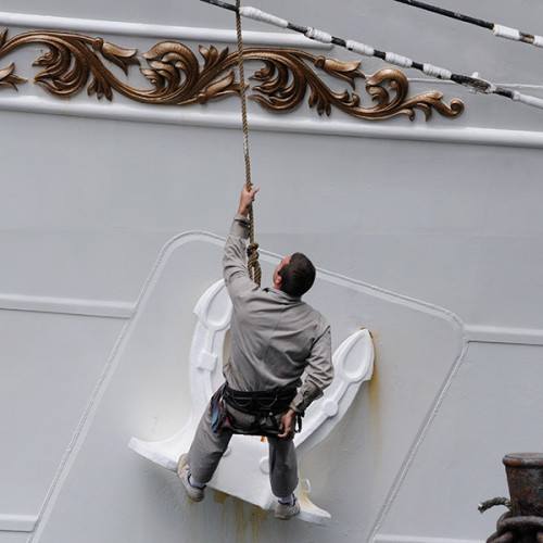 Marin du Cisne Branco