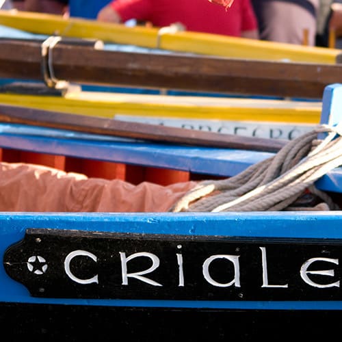 Détail de la coque du Crialeis