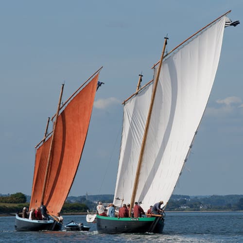 Les sinagots du golfe du Morbihan