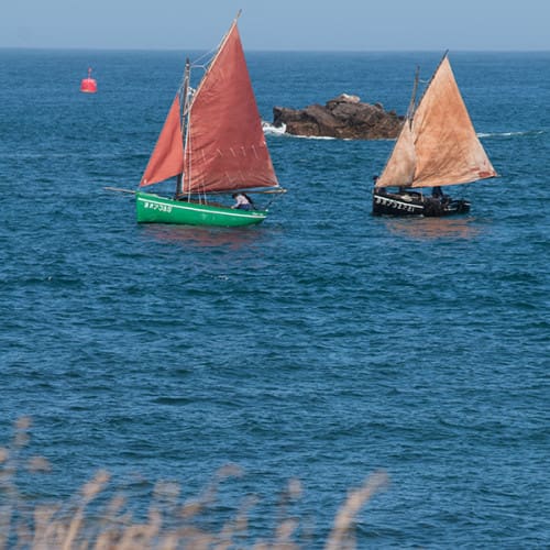 Sloop goémoniers revenant de leur récolte