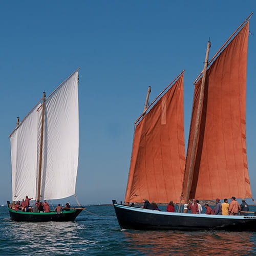 Sinagots dans le golfe du Morbihan