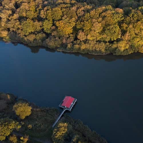 Etang à l'automne