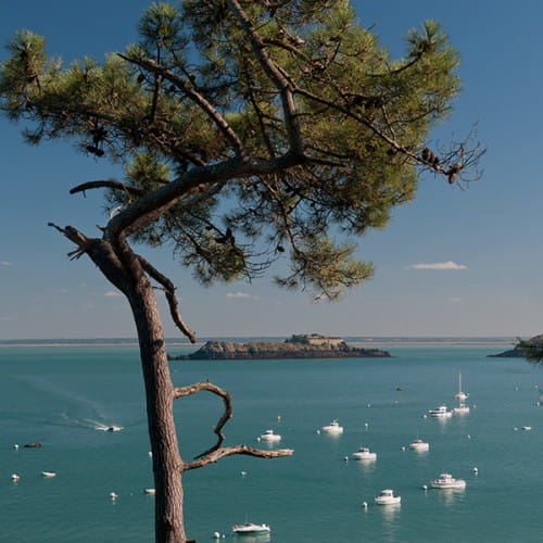 Vue sur l'île des Rimains