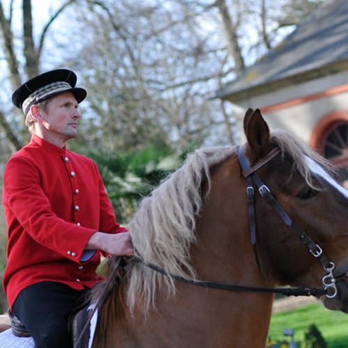Cheval de trait breton
