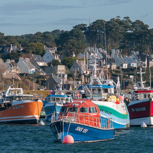 Bateaux de pêche