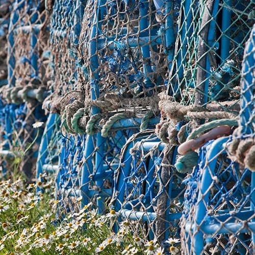 Casiers de pêche alignés