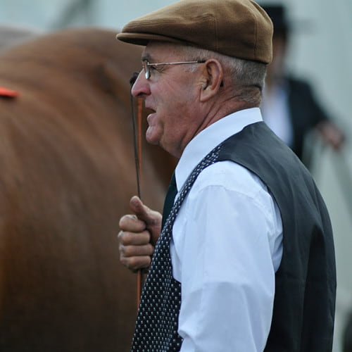 Eleveur de chevaux de trait breton