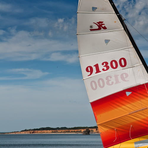 Voile de catamaran