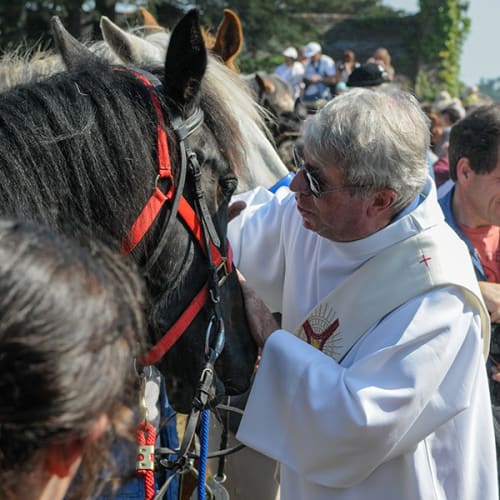 Pardon aux chevaux à Penvénan