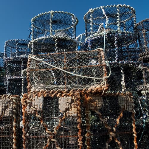 Casiers de pêche bleus