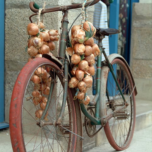 Vieux vélo chargé d'oignons à Roscoff