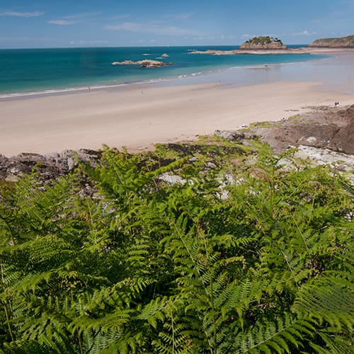La plage Dugueslin, espace naturel protégé