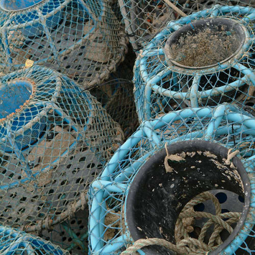 Casiers de pêche