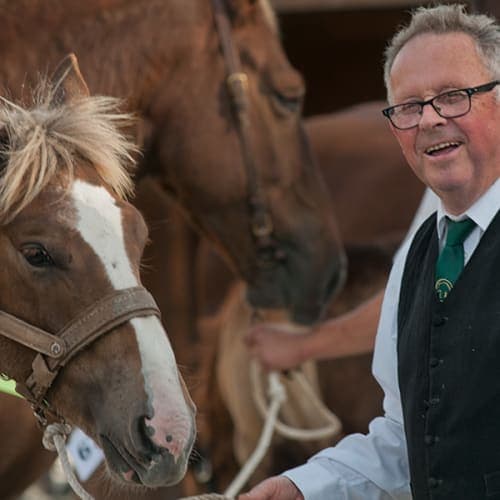 Eleveur breton présentant son poulain