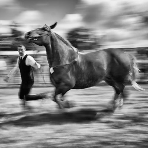 Jeune éleveur défilant avec sa pouliche