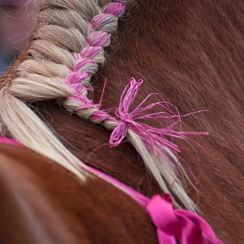Tresse et ruban colorés