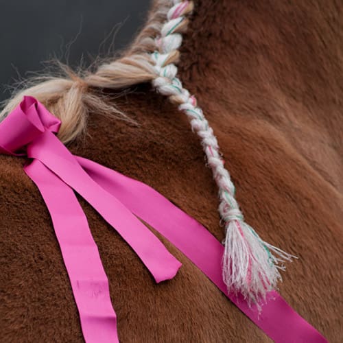 Crinière tressée et ruban rose