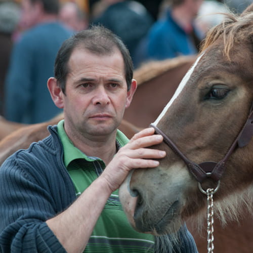 Eleveur avec son cheval de trait