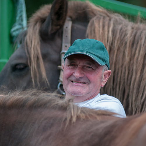 Eleveur parmi ses chevaux de trait
