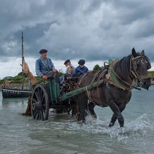 Fête des goémoniers à Plouguerneau