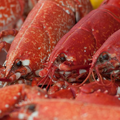 Homard breton