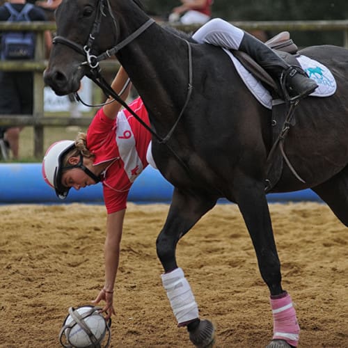 Match de horse-ball